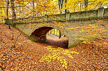 Bridge in the Glienicker Park in autumn, Berlin, Germany, Europe