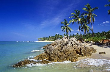 Palm beach, Klong Khong Beach, Ko Lanta island, Krabi, Thailand, Southeast Asia