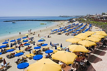 Yellow sun umbrellas on a sandy beach, Playa Dorada, Playa Blanca, Lanzarote, Canary Islands, Spain, Europe