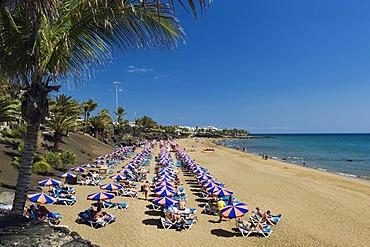 Beach umbrellas on the sandy beach, Playa Grande, Puerto del Carmen, Lanzarote, Canary Islands, Spain, Europe