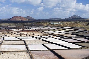 Sea salt refinery, pools of brine, Salinas de Janubio, Lanzarote, Canary Islands, Spain, Europe