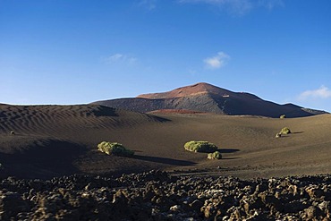 Volcanic landscape in Montana del Fuego de Timanfaya National Park, Lanzarote, Canary Islands, Spain, Europe