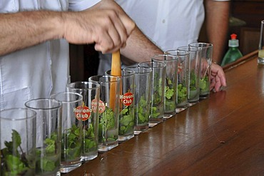 Bartender mixing a Mojito cocktail with rum, mint and lime, La Bodeguita del Medio, Empedrado 207, old town, Havana, Cuba, Caribbean, Central America