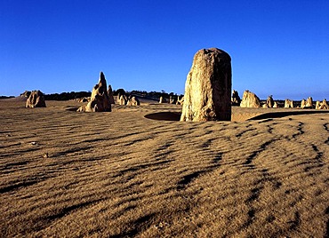 Rock formation The Pinnacles, Nambung National Park, Western Australia, Australia