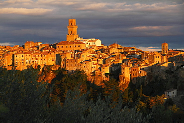 View across olive trees to medieval town of Pitigliano glowing in evening light with cathedral Santi Pietro e Paolo and tower in the centre, Maremma, Province Grosseto, Tuscany, Italy, Europe