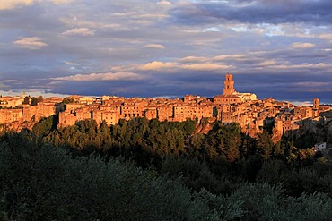 View across olive trees to medieval town of Pitigliano situated on a volcanic limestone plateau with Campanile on the right, evening light, Maremma, Tuscany, Italy, Europe