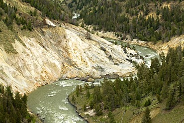 Yellowstone River near Tower Fall, Yellowstone National Park, Wyoming, USA, North America