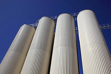 Beer storage tanks of a brewery