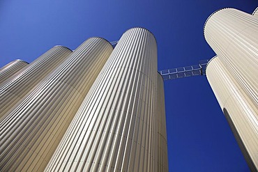 Beer storage tanks of a brewery