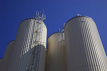 Beer storage tanks of a brewery