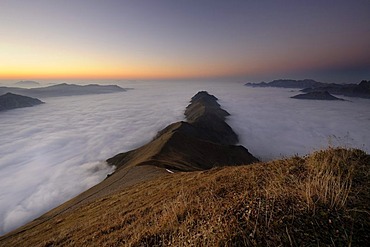 Mountain valley under fog with mountain peaks in the evening light, Allgaeu Alps, Kleinwalsertal valley, Vorarlberg, Austria, Europe