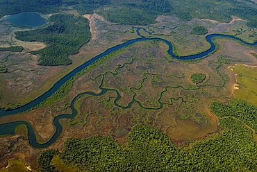 Aerial shot of a meandering river, Belize, Central America