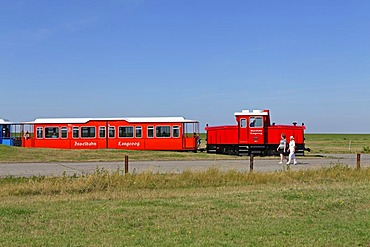 Island train, Langeoog, East Frisian Island, East Frisia, Lower Saxony, Germany, Europe