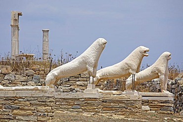 Lion statues, Delos island, Cyclades, Aegean Sea, Greece, Europe