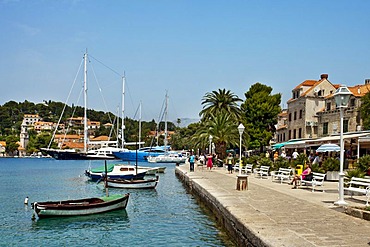 Promenade, fishing village of Cavtat, Dubrovnik, Dalmatia, Croatia, Europe