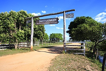 Entrance gate to the Pantanal, Transpantaneira, road through the Pantanal wetland, Brazil, South America