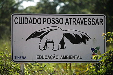 Road sign, giant anteater (Myrmecophaga tridactyla), Transpantaneira road, Pantanal wetland, Brazil, South America