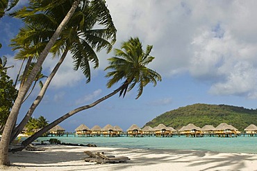 Beach, Pearl Beach Resort, Bora-Bora, French Polynesia, Pacific Ocean