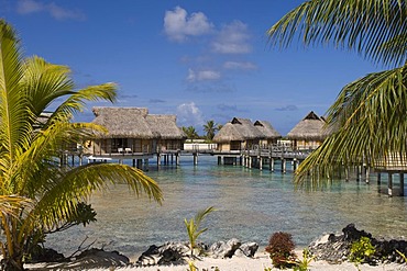 Pearl Beach Resort, Tikehau coral atoll, Tuamotu Archipelago, French Polynesia, Pacific Ocean