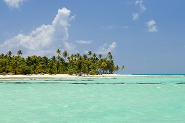 Tikehau coral atoll, Tuamotu Archipelago, French Polynesia, Pacific Ocean