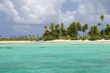 Tikehau coral atoll, Tuamotu Archipelago, French Polynesia, Pacific Ocean