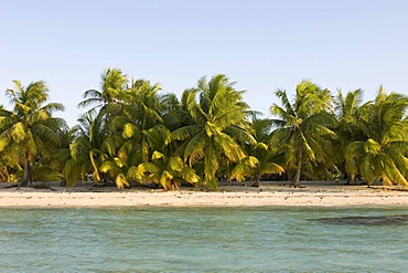 Tikehau coral atoll, Tuamotu Archipelago, French Polynesia, Pacific Ocean