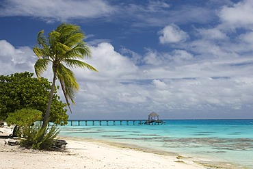 Beach, Fakarava, Havaiki-te-araro, Havai'i or Farea atoll, Tuamotu Archipelago, French Polynesia, Pacific Ocean