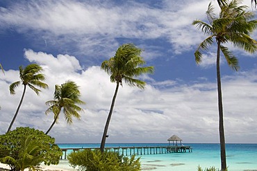 Beach, Fakarava, Havaiki-te-araro, Havai'i or Farea atoll, Tuamotu Archipelago, French Polynesia, Pacific Ocean