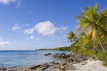 Beach, Fakarava, Havaiki-te-araro, Havai'i or Farea atoll, Tuamotu Archipelago, French Polynesia, Pacific Ocean