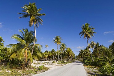 Road, Fakarava, Havaiki-te-araro, Havai'i or Farea, Tuamotu Archipelago, French Polynesia, Pacific Ocean