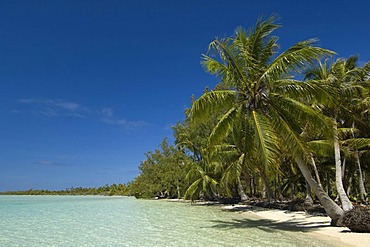 Beach, Fakarava, Havaiki-te-araro, Havai'i or Farea atoll, Tuamotu Archipelago, French Polynesia, Pacific Ocean