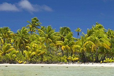 Beach, Fakarava, Havaiki-te-araro, Havai'i or Farea atoll, Tuamotu Archipelago, French Polynesia, Pacific Ocean