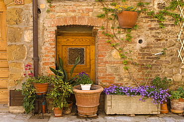 Montefollonico, Val d'Orcia, Siena province, Tuscany, Italy, Europe