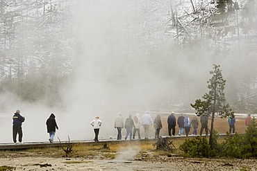 Tourists at Black Sand Basin, Yellowstone National Park, Wyoming, USA