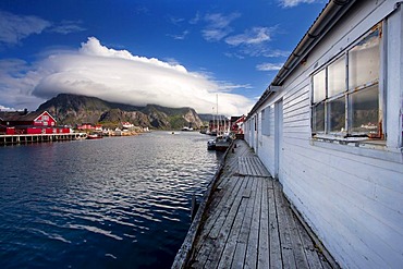 Port of Henningsvaer on the Lofoten Islands, Norway, Europe