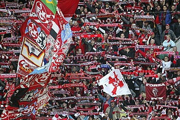 Fans of the 1. FC Kaiserslautern celebrating their 3:0 victory, Bundesliga, Federal League Football, 1.FC Kaiserslautern versus Borussia Moenchengladbach, Fritz-Walter-Stadion, Kaiserslautern, Rhineland-Palatinate, Germany, Europe