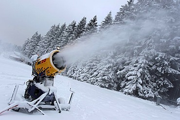 Snow cannon on Erbeskopf mountain near Morbach in the Hunsrueck mountain range, Rhineland-Palatinate, Germany, Europe