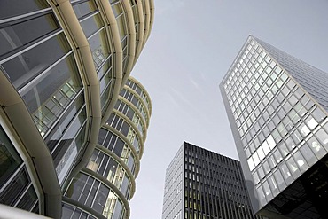 Round and square architecture, architecture styles in the Medienhafen media harbour, Duesseldorf, North Rhine-Westphalia, Germany, Europe