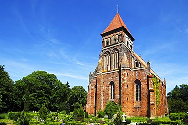 Marienkirche, St. Mary's Church, historic church from the 13th century, in Brandshagen, municipality of Sundhagen, Nordvorpommern district, Mecklenburg-Western Pomerania, Germany, Europe