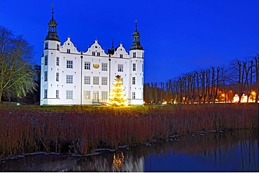 Christmas tree in front of the illuminated Ahrensburger Schloss castle at dusk, in Ahrensburg, Stormarn district, Schleswig-Holstein, Germany, Europe