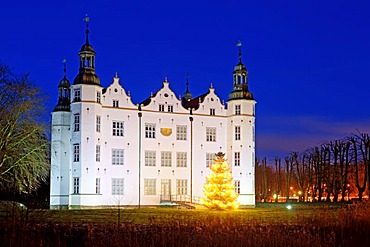 Christmas tree in front of the illuminated Ahrensburger Schloss castle at dusk, in Ahrensburg, Stormarn district, Schleswig-Holstein, Germany, Europe