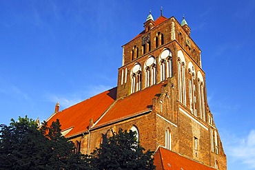 Historic St.-Marien-Kirche church in the old town of Greifswald, European Route of Brick Gothic, Mecklenburg-Western Pomerania, Germany, Europe