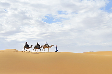 Camel trekking, Erg Chebbi, Morocco, Africa