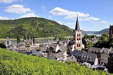 Church of St. Peter, Bacharach, UNESCO World Heritage Site Upper Middle Rhine Valley, Rhineland-Palatinate, Germany, Europe