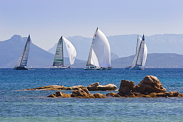 Luxury yachts on Mediterranean Sea, Sardinia, Italy, Europe