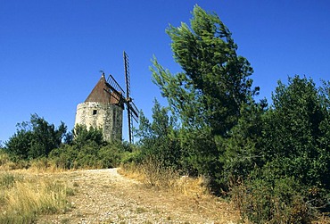 Moulin de Daudet windmill, Provence, France, Europe