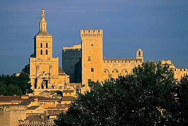 Palais des Papes, Palace of the Popes, Avignon, France, Europe