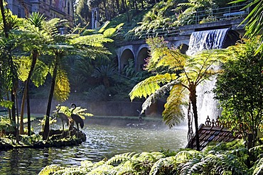 Central pond, Tropical Garden, Jardim Tropical Monte Palace, Jose Bernardo Foundation, Funchal, Madeira, Portugal, Europe