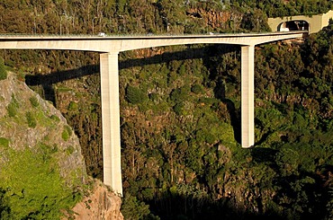 Highway viaduct, Monte, Funchal, Madeira, Portugal, Europe