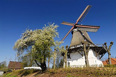 Johanna windmill in Wilhelmsburg district, Hamburg, Germany, Europe